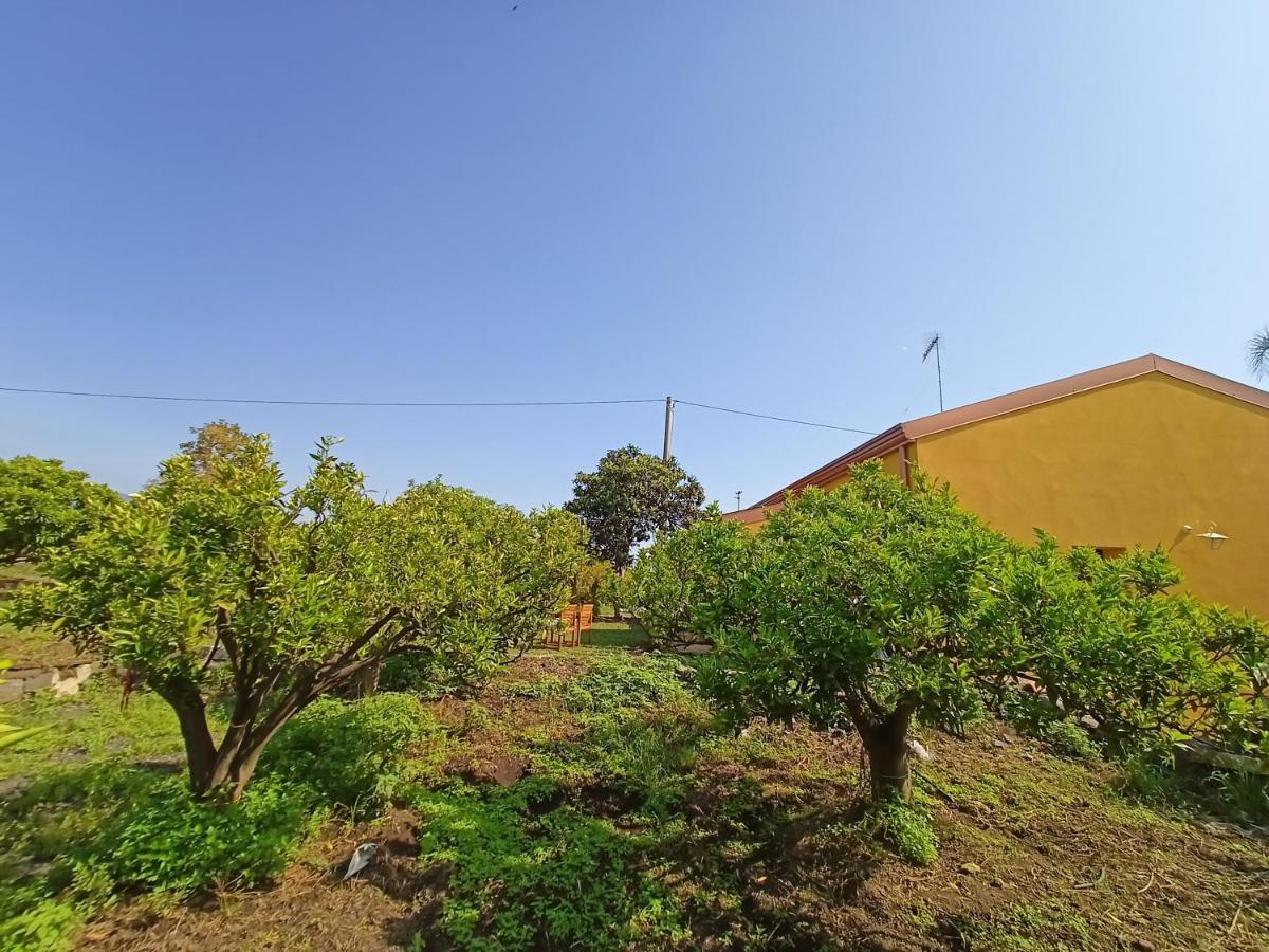 Giardino Arancio - Casa Vacanze Giarre Dış mekan fotoğraf