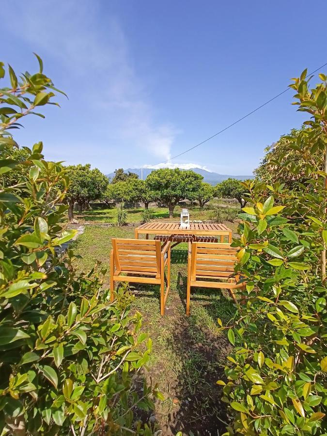 Giardino Arancio - Casa Vacanze Giarre Dış mekan fotoğraf