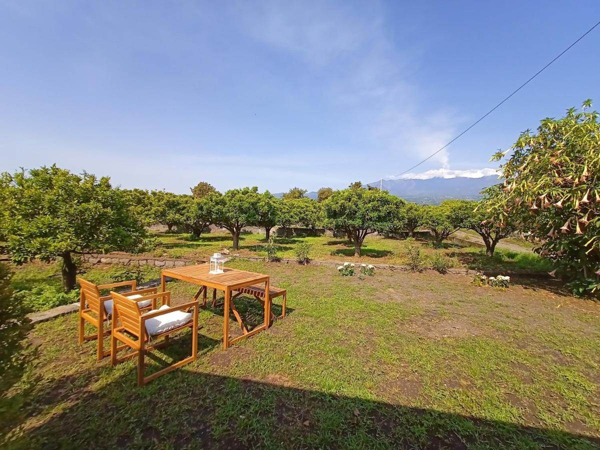 Giardino Arancio - Casa Vacanze Giarre Dış mekan fotoğraf