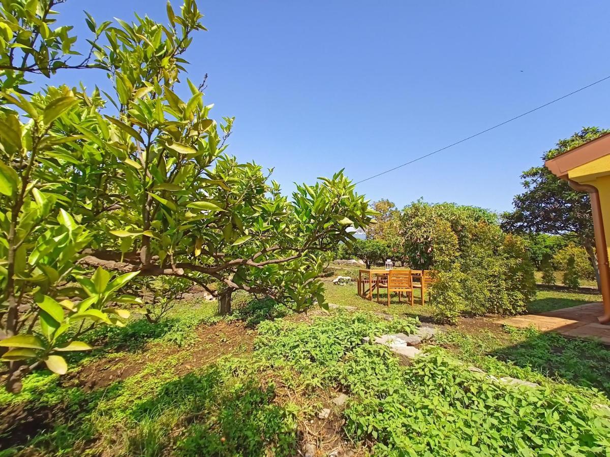 Giardino Arancio - Casa Vacanze Giarre Dış mekan fotoğraf